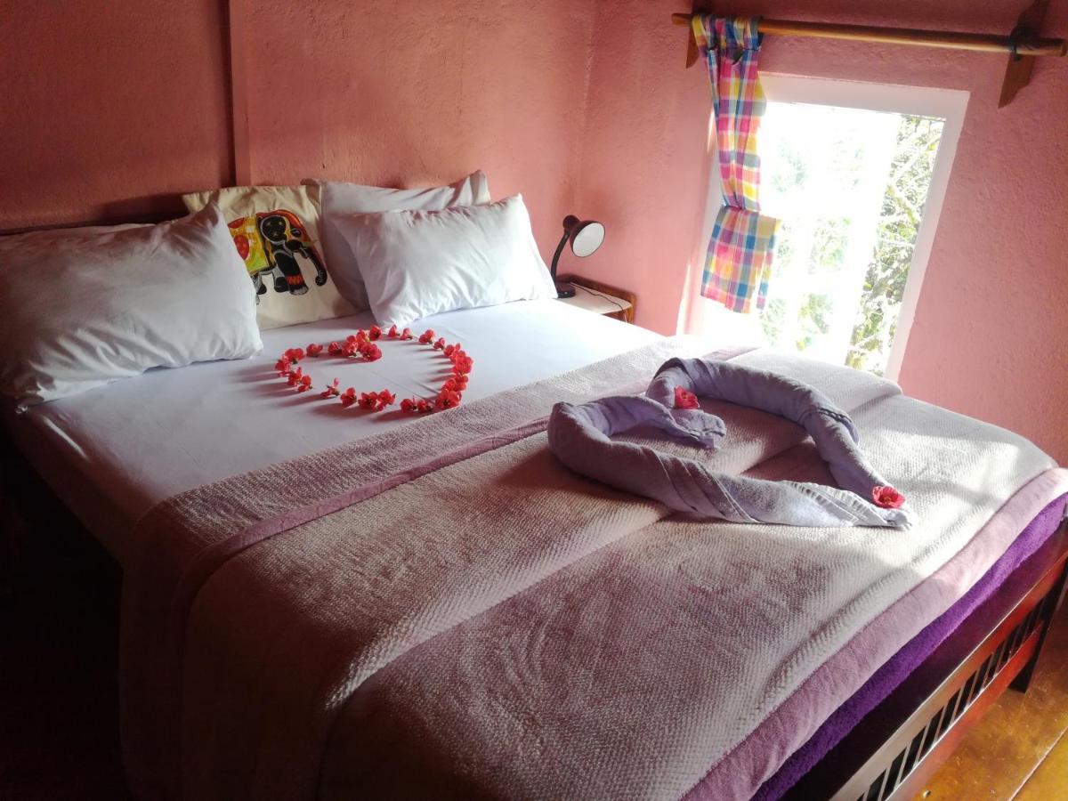 Sincere Wilderness Home Stay 누와라 엘리야 외부 사진