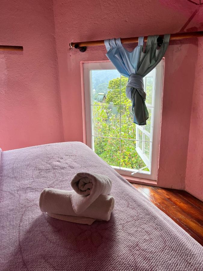 Sincere Wilderness Home Stay 누와라 엘리야 외부 사진